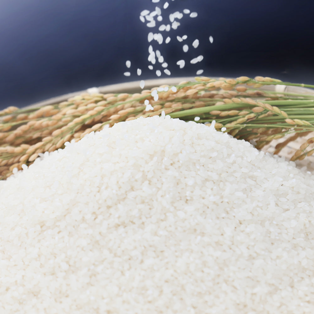 【白米】まっしぐら 10㎏